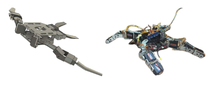 Kurma turtle robot